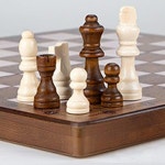 접이식 자석 나무 체스 및 세트  교실  자동차 여행  집  야외 공원용 장난감 : 미주포일