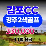 [11월요금] 감포 2색골프 서라벌 경주 요금 골프여행 2색골프1박2일 패키지 : 골프야