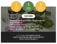 (강원)토종다래잼(280g, 3개입) : 오늘온찬