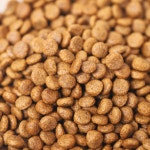 엉클홈 인섹트플러스 저알러지 그레인프리 강아지사료, 곤충 단백질, 40g 10개입 소포장 : 주식회사 데이원