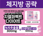 말차카테킨 GLP-1 단쇄지방산 위고굿지엘퍼펙트다이어트 60정, 1개 : 휴마음