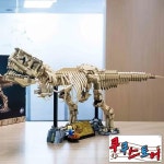 쿠쿠스토어 2025 새로운 798 공룡 T-렉스 화석 티라노사우루스 빌딩 블록 세계 어린이를위한 장난감 소년 생일 선물 : 쿠쿠스토어2