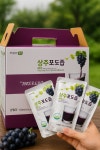 포도를 통째로 짜낸 포도즙 40포 100% NFC착즙 무첨가 : 산속끝농원