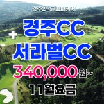 [11월요금] 경주2색골프 서라벌cc 경주cc  1박2일골프여행 패키지 : 골프야