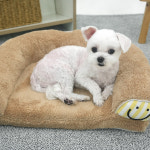 라운드필로우베드 강아지 후리스 원단 방석 부드러운 반달 침대 : ROICO