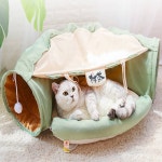 시월 고양이 하우스 다방 NH376 애견집 소형견하우스 고양이집 : 시월콤파니