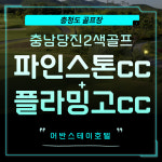 충남 파인스톤cc+플라밍고cc 당진2색골프패키지 1박2일골프여행 : 골프여행예약센터