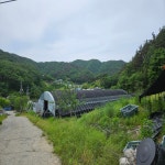 국내산 못난이 생표고버섯 정품 표고버섯 1kg~8kg : 살롱달