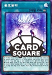 용호쌍박 (DOOD-KR064) Normal : 카드스퀘어