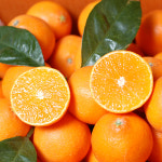 제주 황금향 노지 타이벡 감귤 3kg : 제주달다