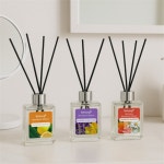 바이향 홈닥터 디퓨져 100ml 냄새제거 힐링향기 쾌적한공간 : 머든 추천 스토어