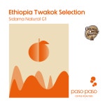 파소파소 원두 에티오피아 트와콕 셀렉션 G1 내추럴 GCA 수상 100g : 파소파소 커피 로스터스