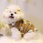 강아지 패딩 하네스 펫츠앤미 브라우니 기본형 XS 양면 조끼 양털 후리스 애견 겨울 옷 : PICKYSHOP 피키샵