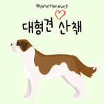 [서울 대형견 돌봄] 안전 중심 산책 맞춤 펫시터 : 펫시터강은지