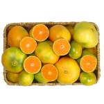 제주 조생 노지 효돈 타이벡 타이백 감귤 홍매향 황금향 5kg 5키로 10kg 10키로 : 해들밥상