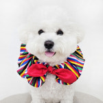 꽃색동 플라워 한복 케이프 : 치노상점