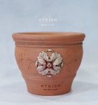 베스파 클래식 아뜨리움 토분 수제토분 : 회장 엔터테인먼트