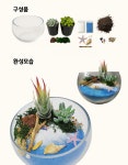 나만의 정원(테라리움) 만들기 : 미래환경교육센터