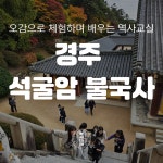 경주 석굴암 불국사 경주여행 역사나래 초등한국사 전공자와 함께하는 어린이도슨트 한국사 특강 : 역사 나래