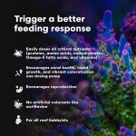 브라이트웰 아쿠아틱스 코랄 관성 NRG 모든 산호와 동맹국 올인원 슈퍼푸드 멀티 보충제 아쿠아리움 워터 트리트먼트 250ml 250-ml... 