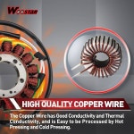 WOOSTAR 15 코일 3 와이어 마그네토 고정자 교체 ZX600 닌자 ZX-6R ZX 6R 2007-2008 OEM 21003-0049용 : 이지프라이스01