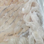 산지직송 활어회 우럭 광어 도미 농어 정량 대천항 수산시장 녹도수산 : 녹도수산