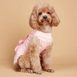 드레스 소녀 애완 고양이 BOWKNOT 생일 강아지 복장 의류 TULLE 동물 핑크 Pink XS : 본샹스-