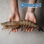 블랙타이거 킹타이거새우 1미 대왕새우 소금구이 : 비비수산