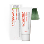 안토시아닌 헤어 매니큐어 230g G04 라임그린 : 안토시아닌