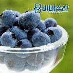 열대과일 패션후르츠 퓨레1kg 망고 람부탄 리치 잭후르츠 냉동과일 : 비비수산
