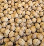 국내산 햇호두 1kg, 알호두, 피호두 : 송주농장