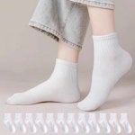 여성용 스포츠 무지 중목 양말 12켤례 : 유한회사 효기