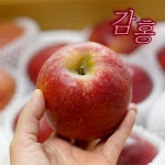 푸릇앤팜 문경 감홍사과 얼음골 청송 : 푸릇앤팜