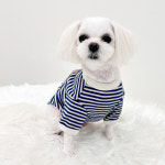 부클곰 단가라 긴소매 강아지 티셔츠 S-XL : 슈가몽