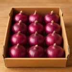 전남 무안 황토골 자색양파 [중대 혼합] 국내산 신선채소 산지직송 5kg, 1개 : 섬바람