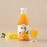 빙그레 자연에서 갓 따옴 망고 주스 730ml, 6개 : 아슈테