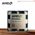 AMD 라이젠 5 8400F 6코어 12스레드 L3=16M 4.2GHz 게이밍 프로세서 4NM 소켓 팬 없음 : 무럭상사