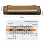 성인 초급 및 전문가를 위한 EVA 보호 케이스가 포함된 JDR 하모니카 7종 세트 C : 프라임파인더