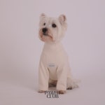 [ Peach Raglan Sweatshirt - Cream ] 피치 래글런 맨투맨 : 포핏클럽PAWFITCLUB