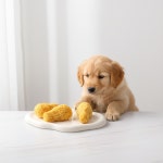 독특 멍치킨(3pcs) 강아지 수제간식 : 독특 수제간식