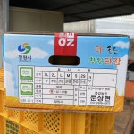 단감 5kg 10kg 봉강농원 태추 부유 아침이슬 머금은 고당도 창원단감 : 창원봉강농원