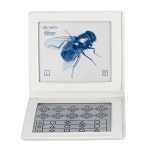 노바 광학 장비 검안 스테레오 플라이 테스트 (SO001) 입체시 및 미세 깊이 인식 평가 : 태성홀딩스