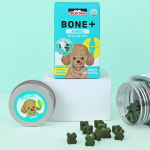 파미데이즈 강아지 본 플러스 슬개골탈구 관절 영양제 160g 3통 : 댕댕이뷰티샵