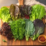 모듬 쌈채소 유기농 샐러드용 당일수확 농장직송 모듬쌈 600g, 1개 : 차림곳간