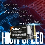 DATO M.2 2242 SSD 1TB, PCIe DP342 2500/1700MB/s, 1.3 시리즈 내장 솔리드 Gen3x4 스테이트 드라이브, NVMe 최대 : 옥지아.