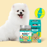 파미데이즈 강아지 본 플러스 슬개골탈구 관절 영양제 160g 3통 : 댕댕이뷰티샵