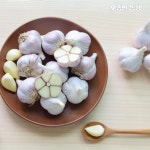 26년 단양 햇마늘 육쪽마늘 한지형 통마늘 장아찌마늘 3kg : 단양마늘전문 오종만농장
