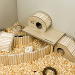 햄스터 울타리 사다리 은신처 세트 집 계단 골든 드워프 : 햄찌무드