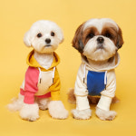 플로트 콤비 강아지 후드티 애견 티셔츠 봄 가을 옷 : 플로트