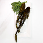 매운탕재료 한방에 메기 빠가사리 냉동참게 (주문즉시손질) : 민물에서 왔습니다